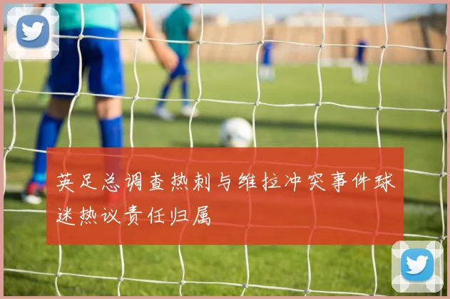 英足总调查热刺与维拉冲突事件球迷热议责任归属