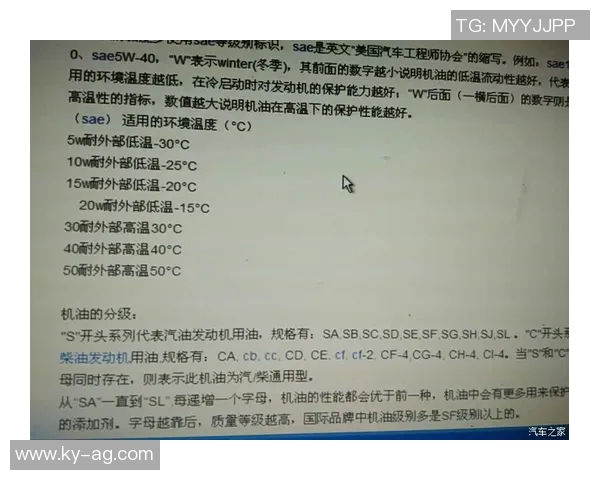 约维奇坚信自我价值立志在球场上证明自己的能力与贡献 约维奇坚信自我价值立志在球场上证明自己的能力与贡献